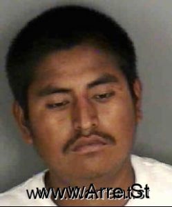 Antonio Deloriscruz Arrest Mugshot