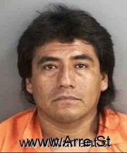 Armando Celis Arrest Mugshot