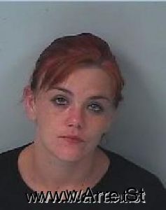 Ashley Price Arrest Mugshot