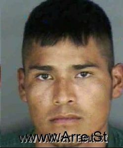 Bernardo Vicente Arrest Mugshot