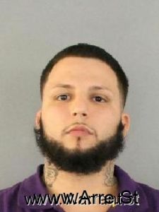 Brian Seidenberg Arrest Mugshot