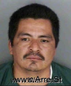 Carmen Garciameza Arrest Mugshot