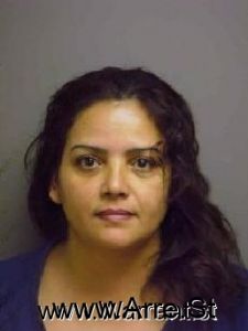 Damaris Luzandino Arrest Mugshot