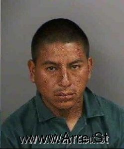 Dany Carnivalrodriguez Arrest Mugshot