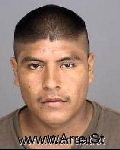 Delfino Torres Arrest Mugshot