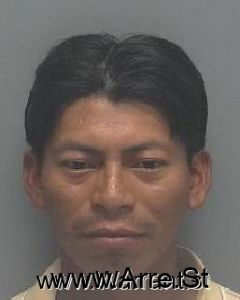 Domingo Castro Arrest Mugshot