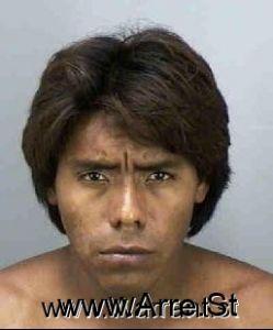 Fernando Luna Arrest Mugshot