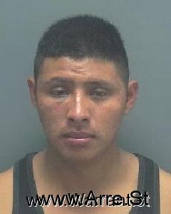 Gabriel Nicolas Arrest Mugshot