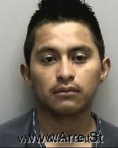 Gerardo Avelino Arrest Mugshot