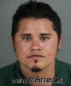 Jose Fernandez Arrest Mugshot