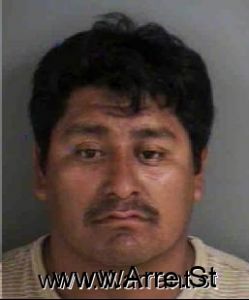 Jose Salvador Arrest Mugshot