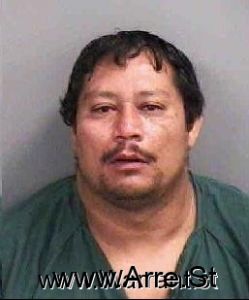 Jose Tolozalopez Arrest Mugshot