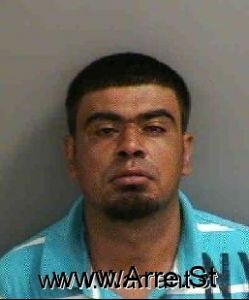 Jose Torresgamino Arrest Mugshot