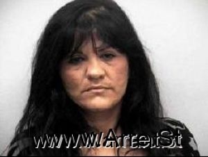 Lisa Rohn Arrest Mugshot