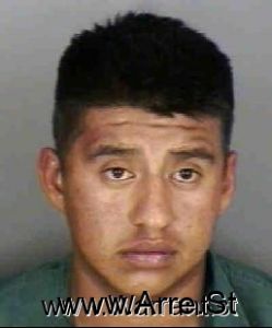 Luis Velascomarin Arrest Mugshot