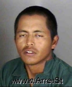 Manuel Francisco Arrest Mugshot