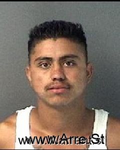 Mario Navarro Arrest Mugshot