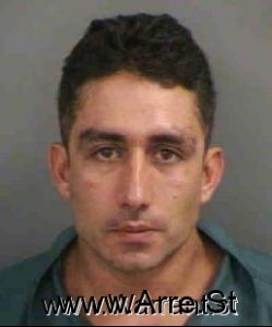 Mauricio Ballivian Arrest Mugshot