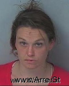 Megan Lloyd Arrest Mugshot