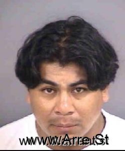 Nicholas Martinbacilio Arrest Mugshot