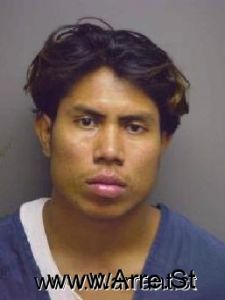 Omar Murilloherrera Arrest Mugshot