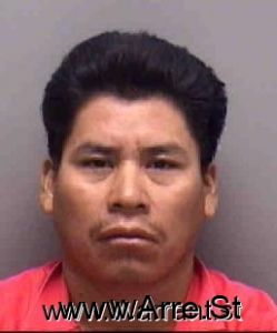 Pedro Zetino Arrest Mugshot