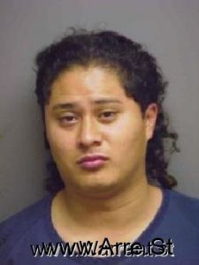 Roberto Castillo Arrest Mugshot