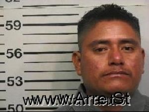 Salvador Flores Arrest Mugshot