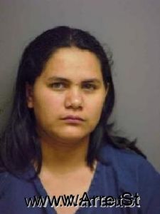 Sandra Torres Arrest Mugshot