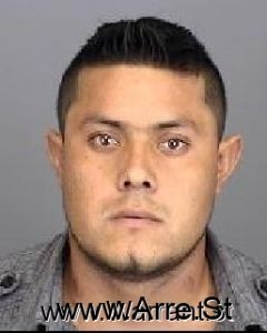 Sebastian Tellez Arrest Mugshot