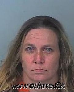 Theresa Anderson Arrest Mugshot