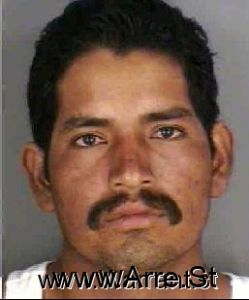 Venegas Calixtro Arrest Mugshot