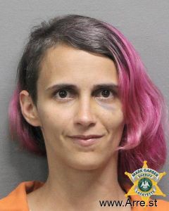Amber Bourque Arrest Mugshot
