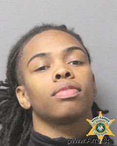 Madison Castille Arrest Mugshot