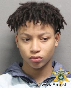 Zaylin Sion Arrest Mugshot