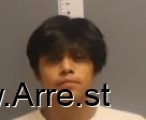 Angel Palma Arrest Mugshot