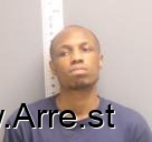 Ashley Hesse-hamilton Arrest Mugshot