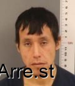 Brett Stevens Arrest Mugshot