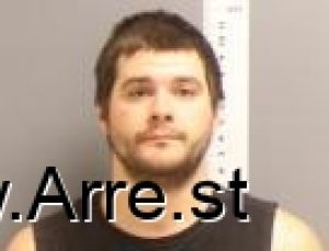 Cody Carlson Arrest Mugshot