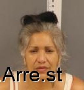 Janet Hanks Arrest Mugshot