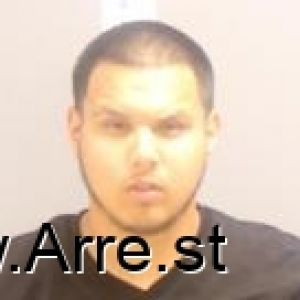 Logan Olson Arrest Mugshot