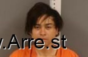 Luan Huynh Arrest Mugshot
