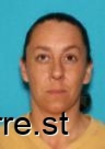 Michele Skramstad Arrest Mugshot