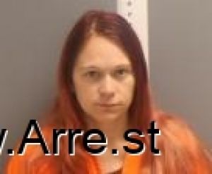 Stephanie Nelson Arrest Mugshot