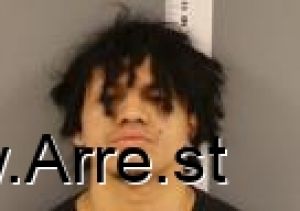 Stephen Stone Arrest Mugshot