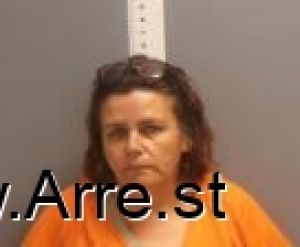 Tamara Boudreau Arrest Mugshot