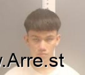 Thayian Greenfeather Arrest Mugshot