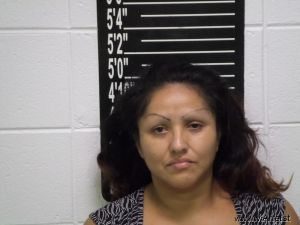 Evelyn Henriquez Arrest Mugshot