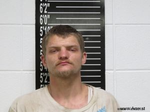 Harley Thiele Arrest Mugshot