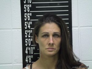 Sandra Wilson Arrest Mugshot